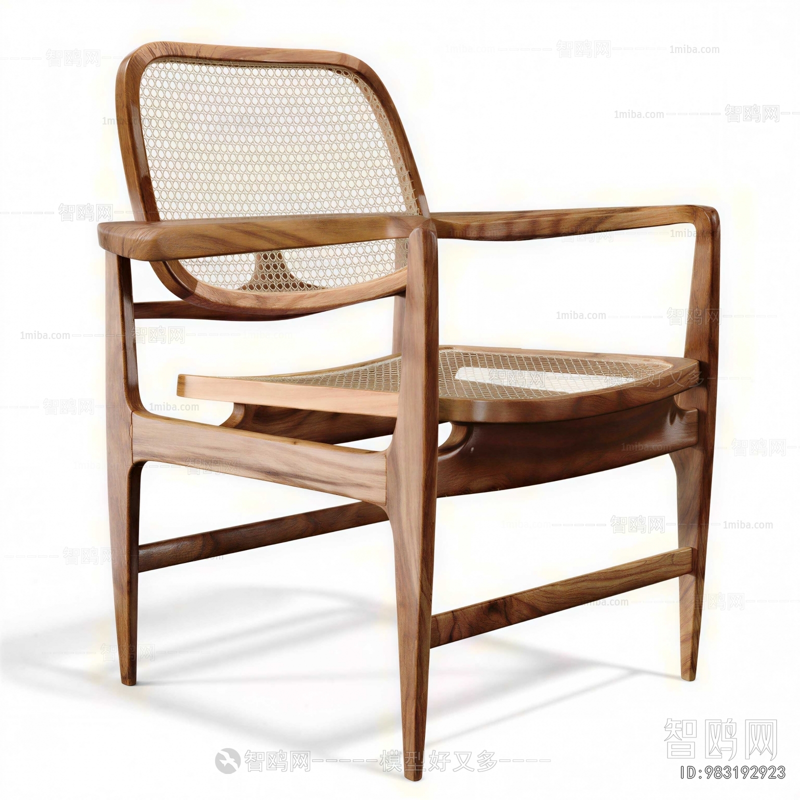 Modern Lounge Chair