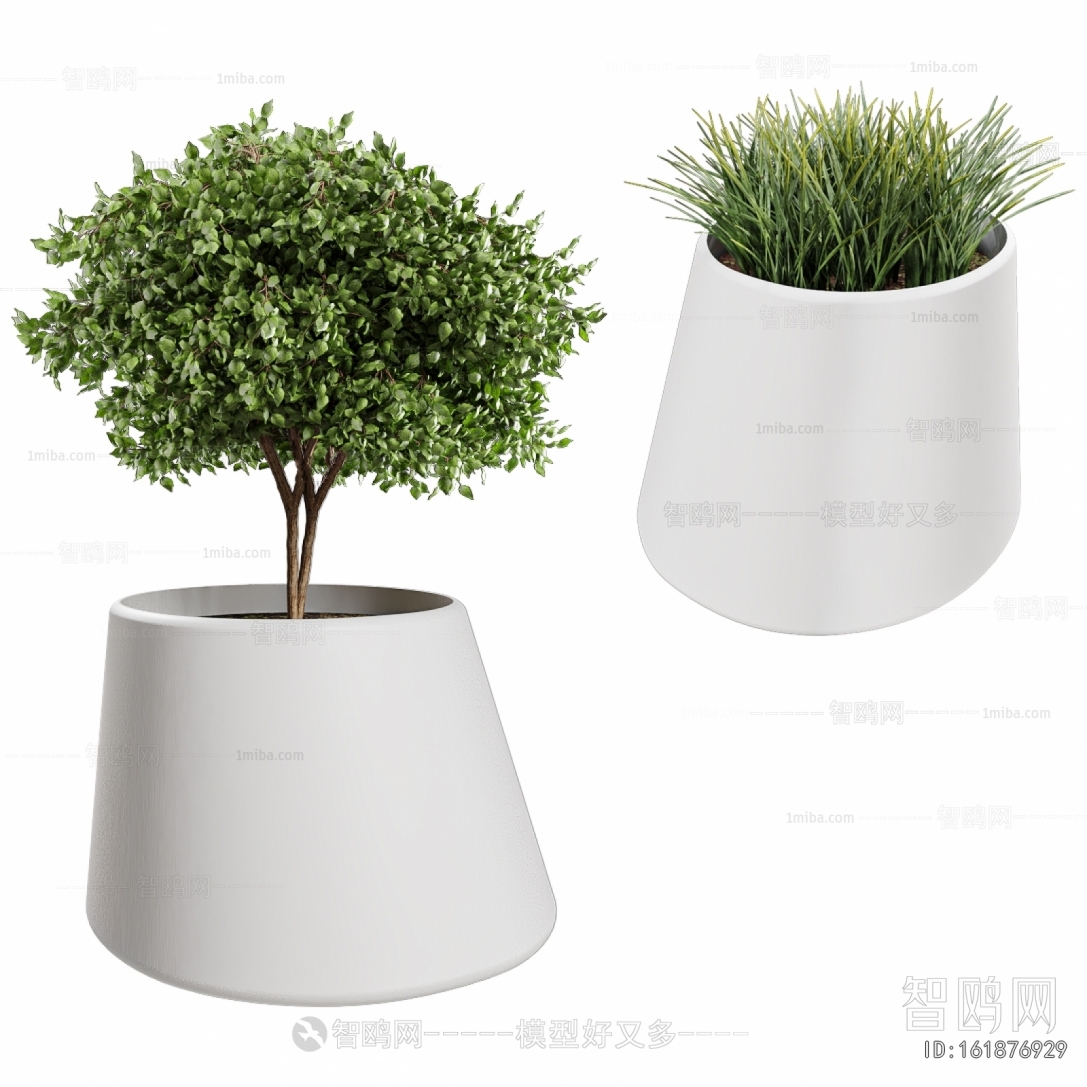 Modern Ground Green Plant Potted Plants