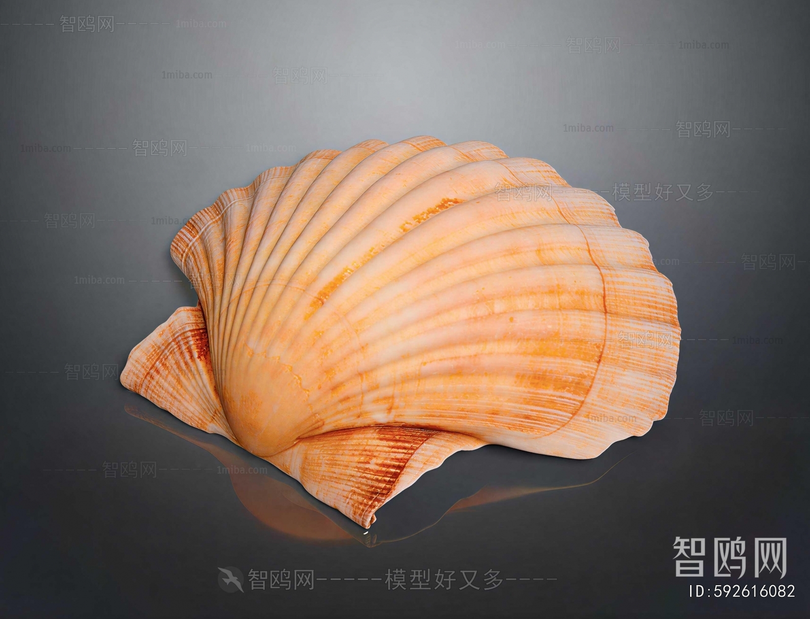 Modern Aquatic Animals