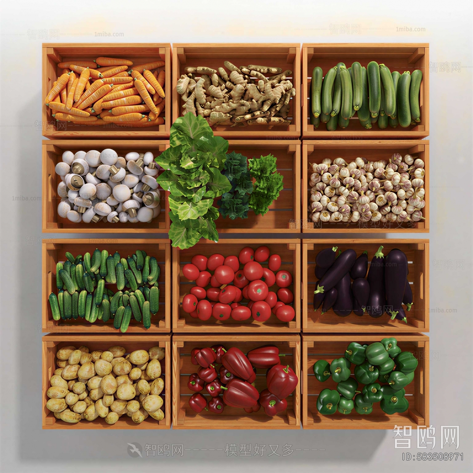 Modern Vegetables