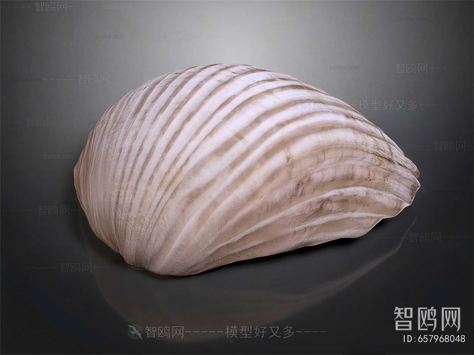 Modern Aquatic Animals