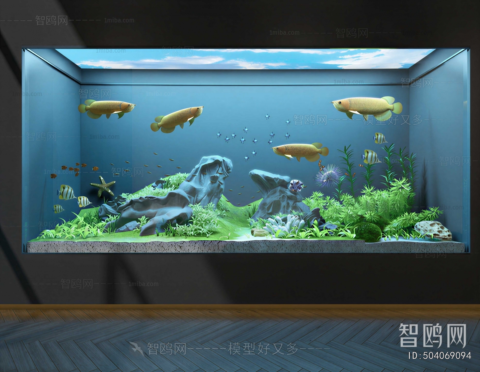 Modern Fish Tank