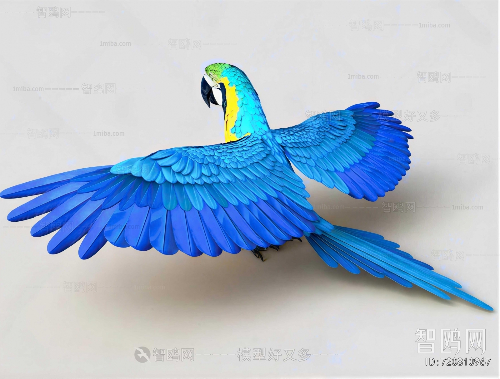 Modern Flying Animals