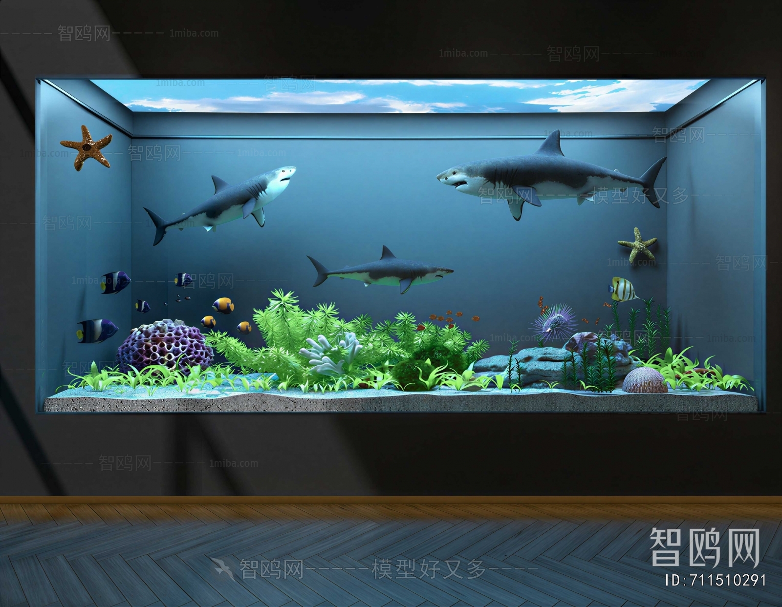 Modern Fish Tank