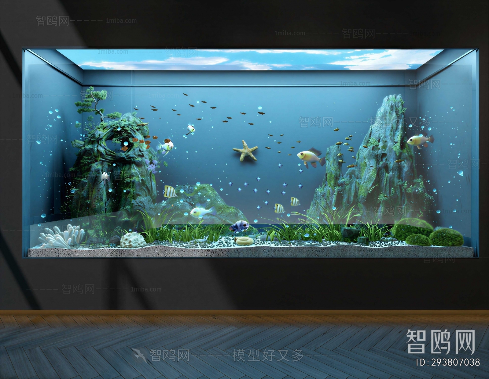 Modern Fish Tank