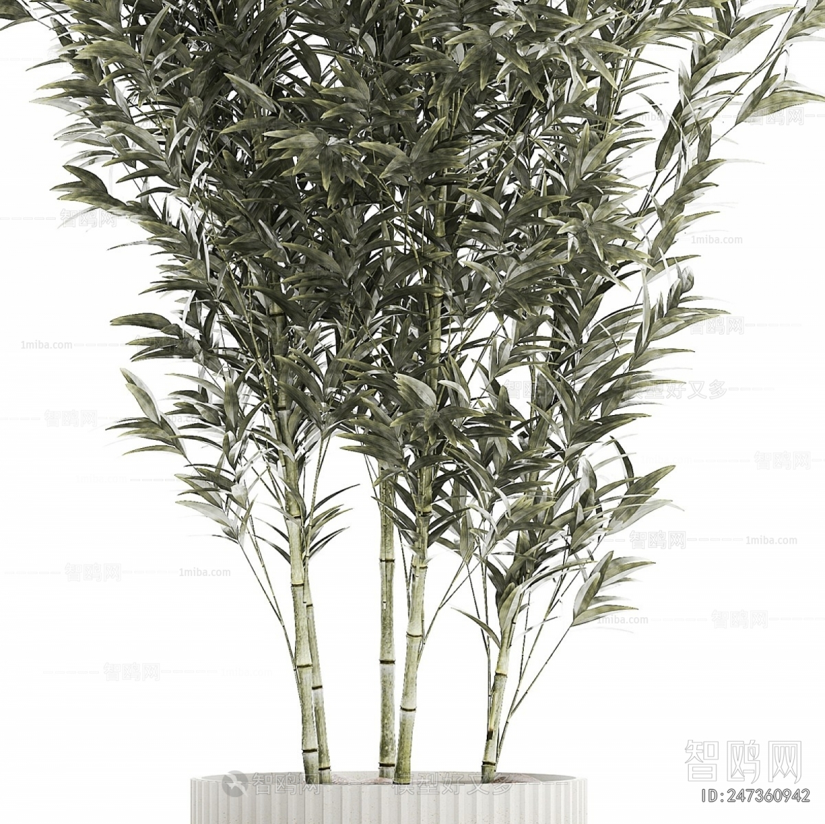 Modern Ground Green Plant Potted Plants