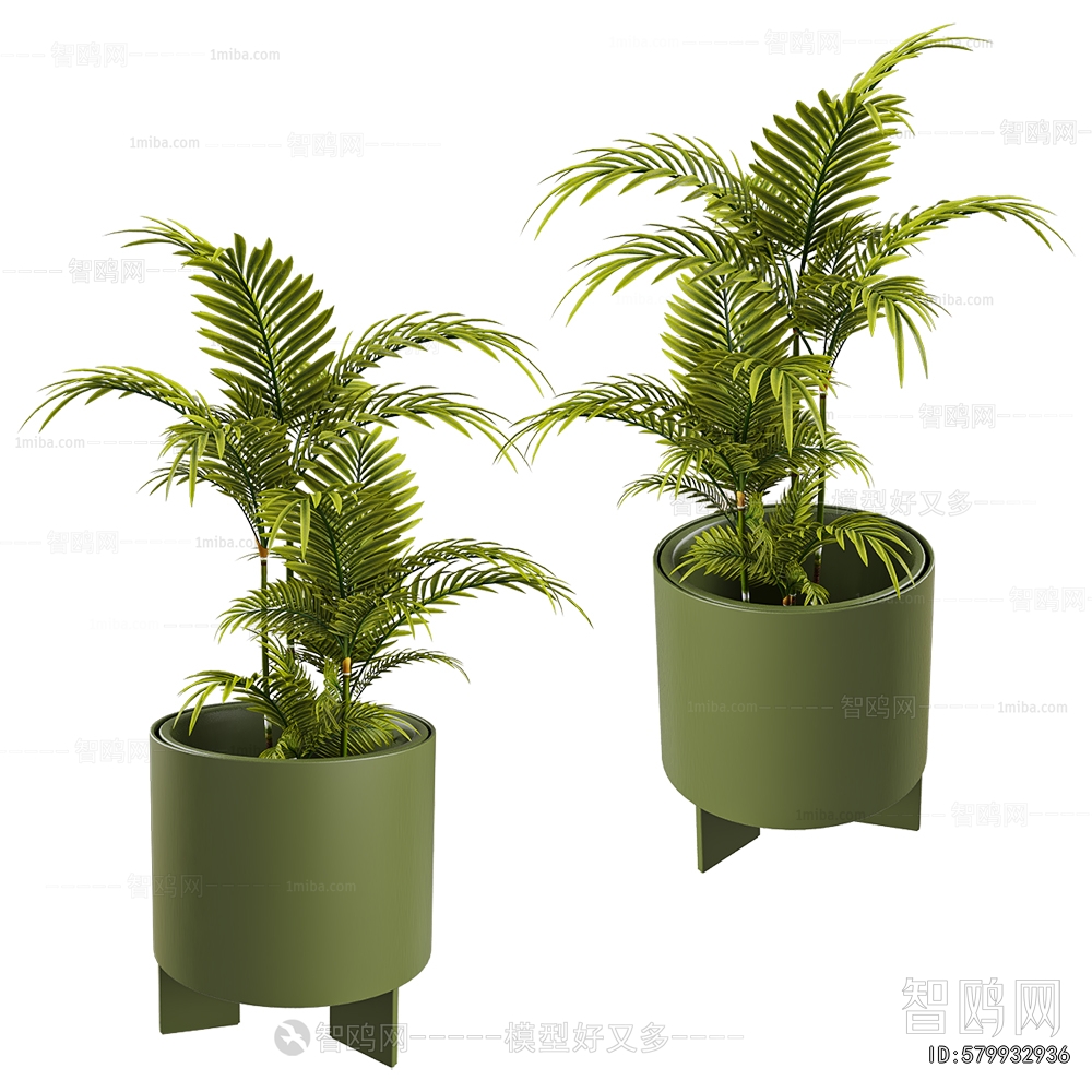 Modern Ground Green Plant Potted Plants