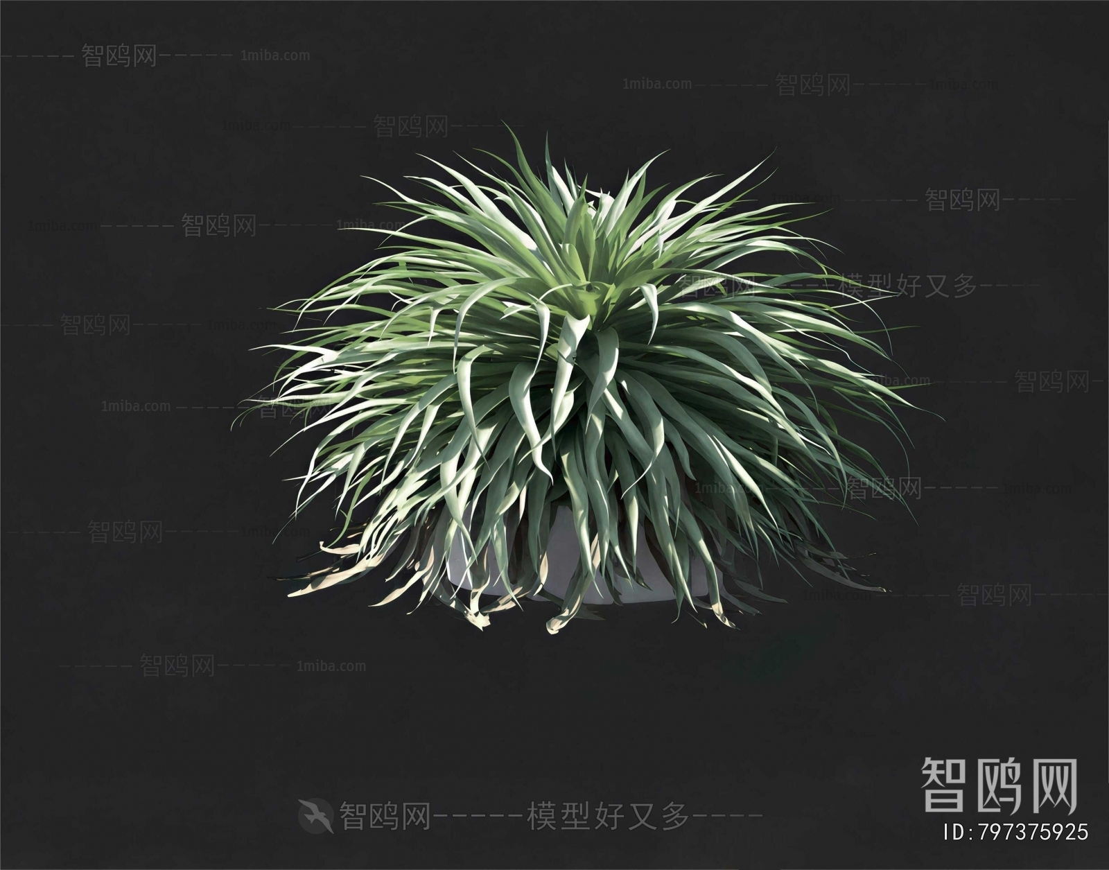 Modern Potted Green Plant