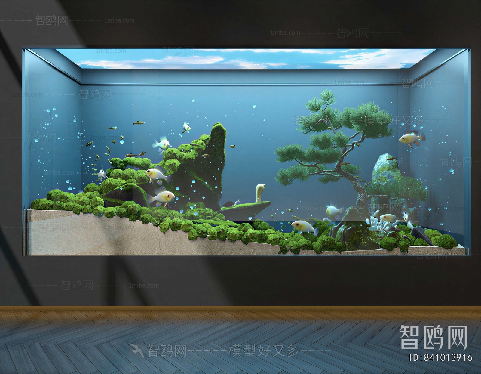 Modern Fish Tank
