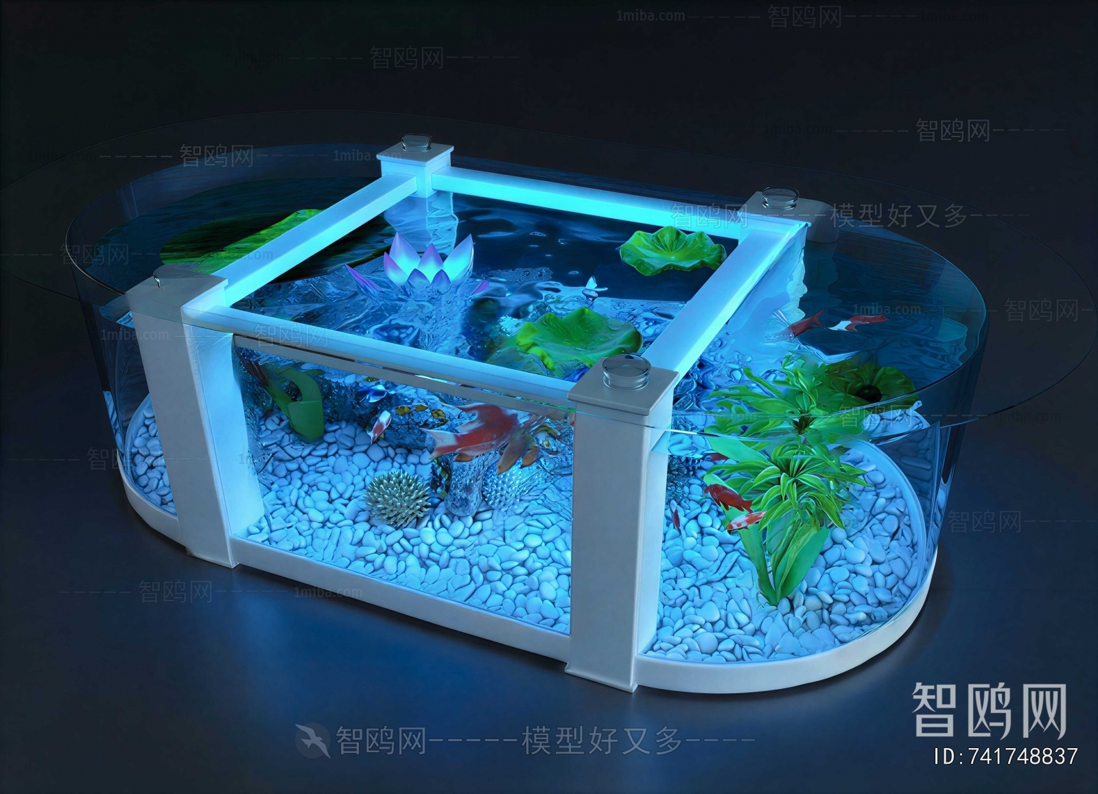 Modern Fish Tank