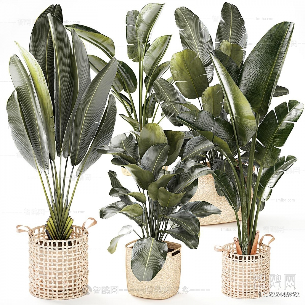 Modern Ground Green Plant Potted Plants