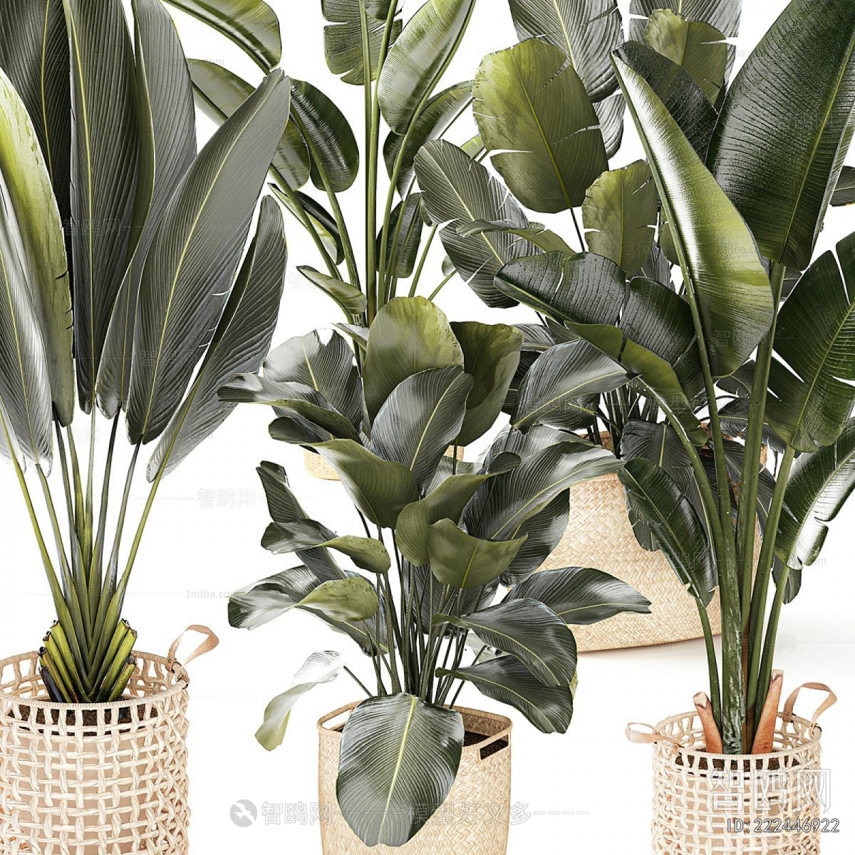 Modern Ground Green Plant Potted Plants