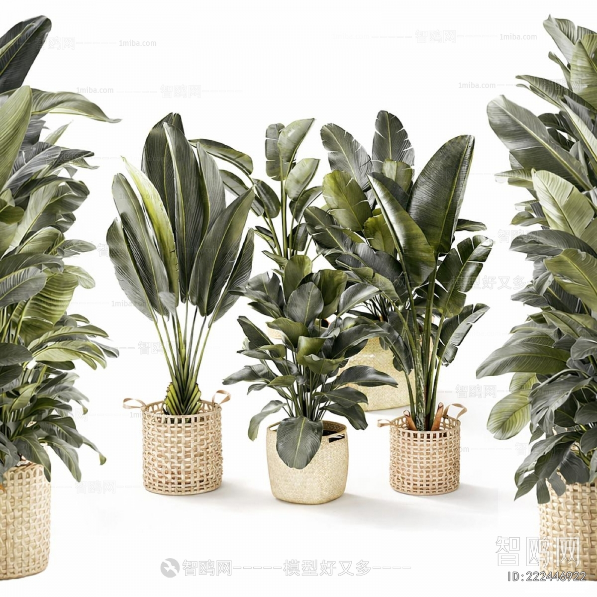 Modern Ground Green Plant Potted Plants