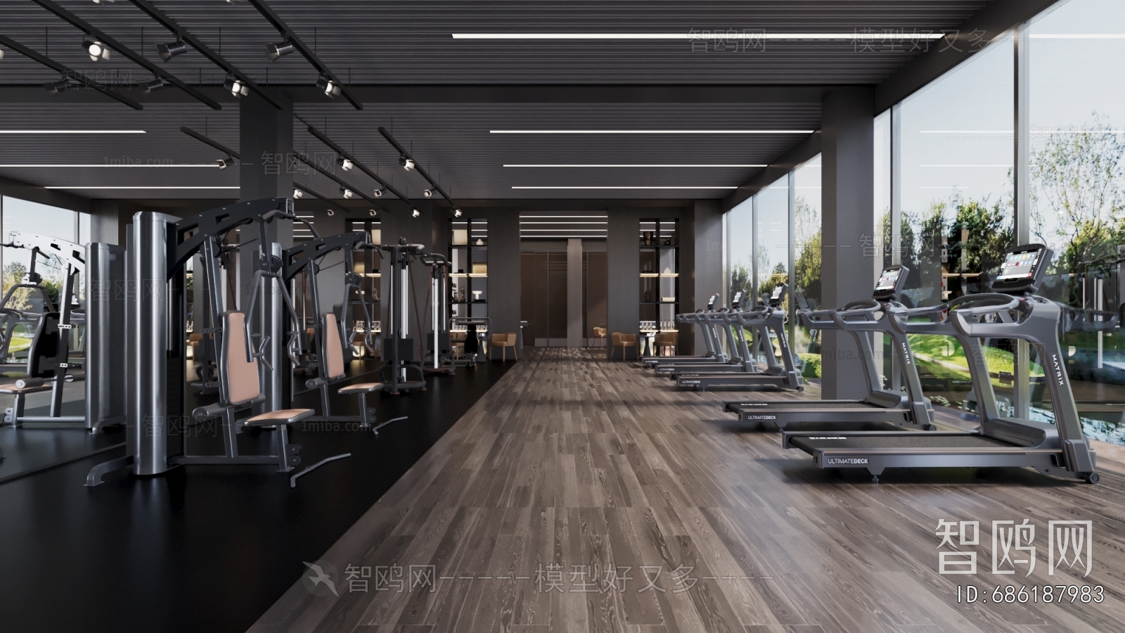 Modern Gym
