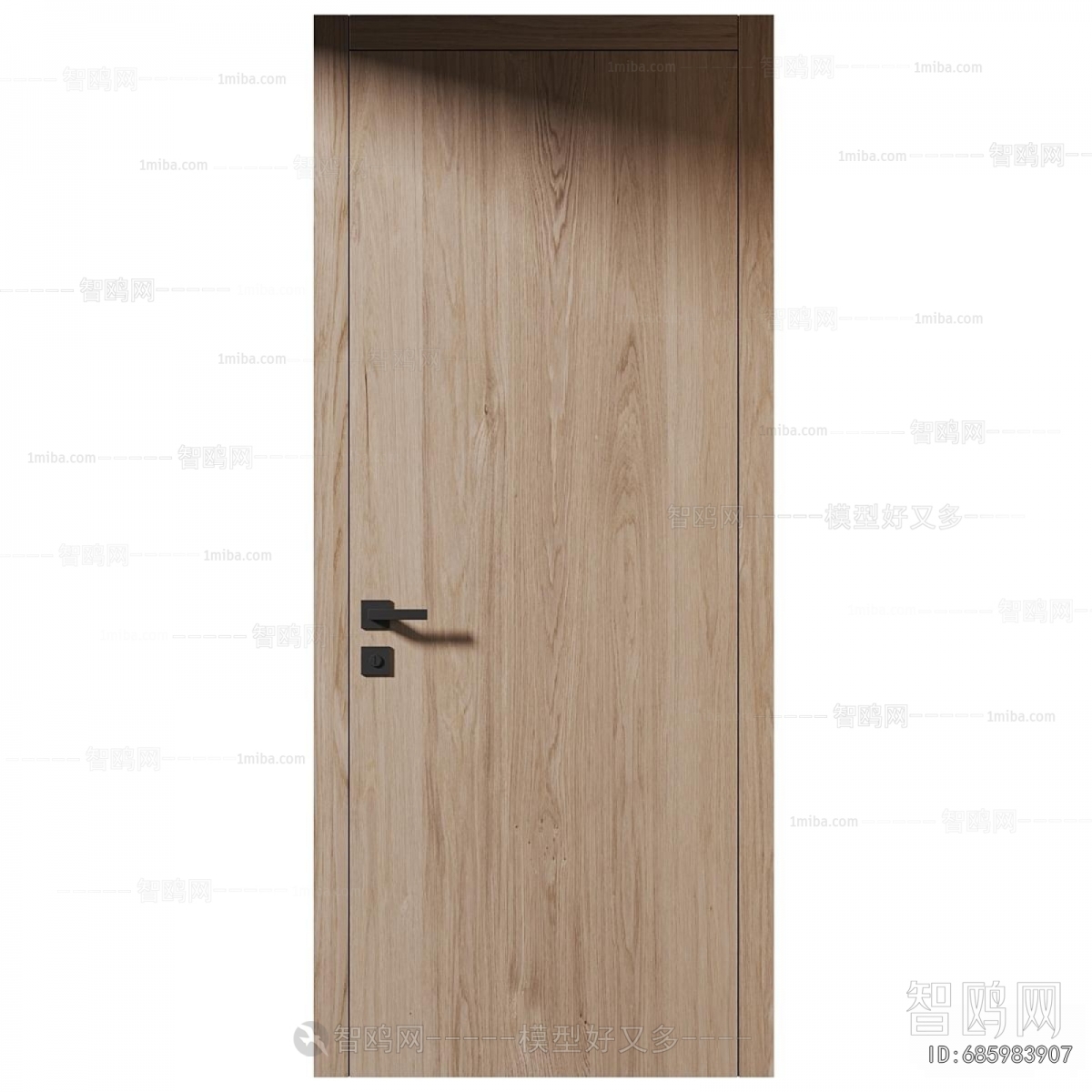 Modern Door