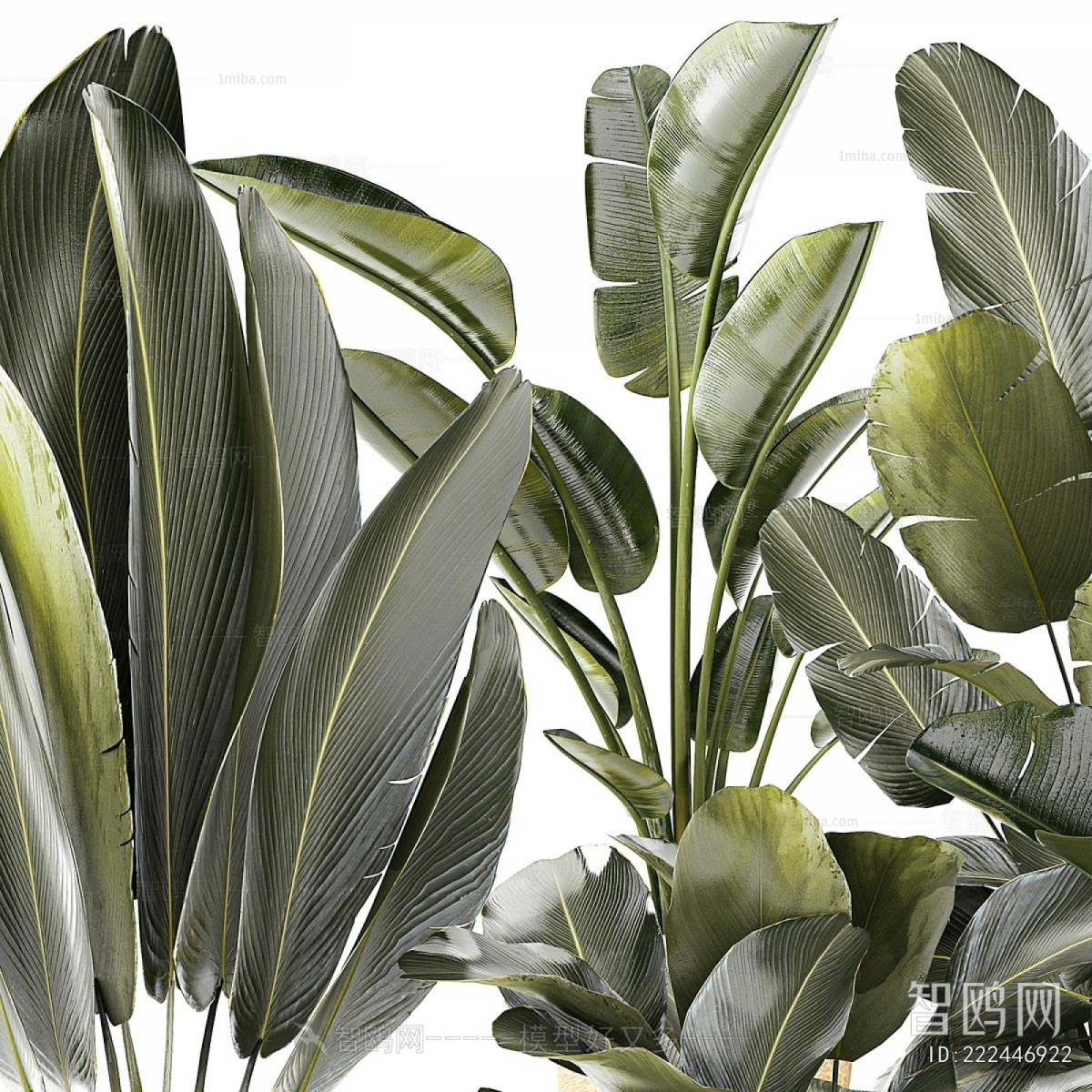 Modern Ground Green Plant Potted Plants