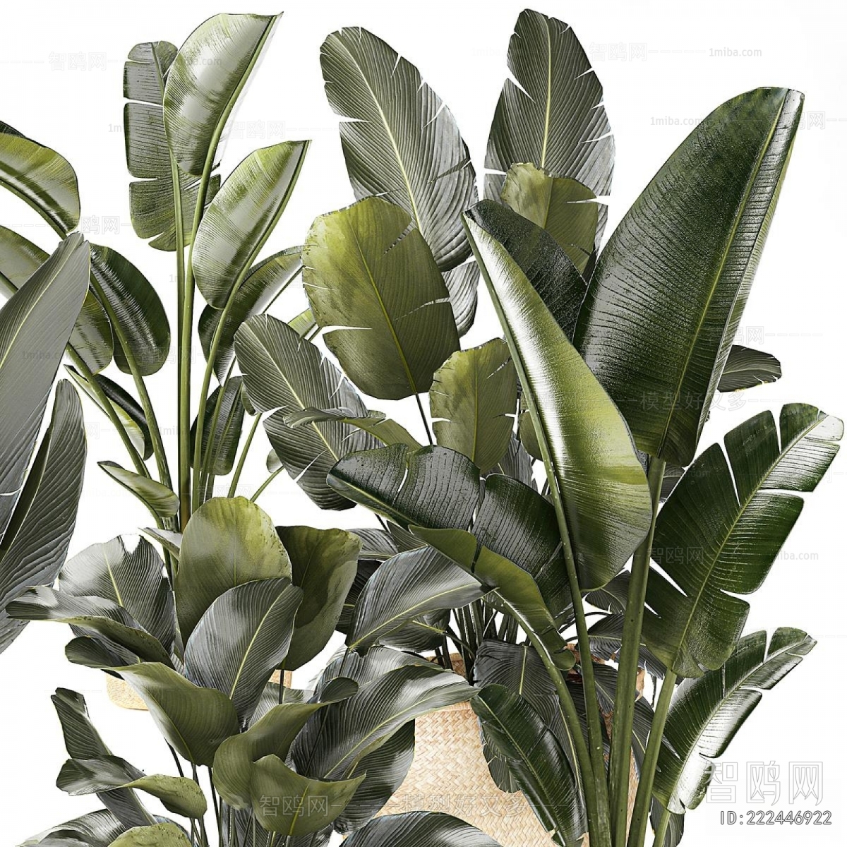 Modern Ground Green Plant Potted Plants