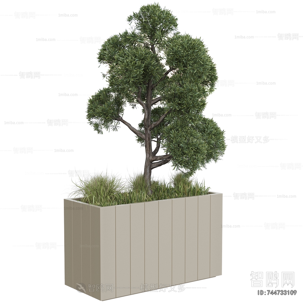 Modern Flower Bed, Flower Bowl, Flower Box