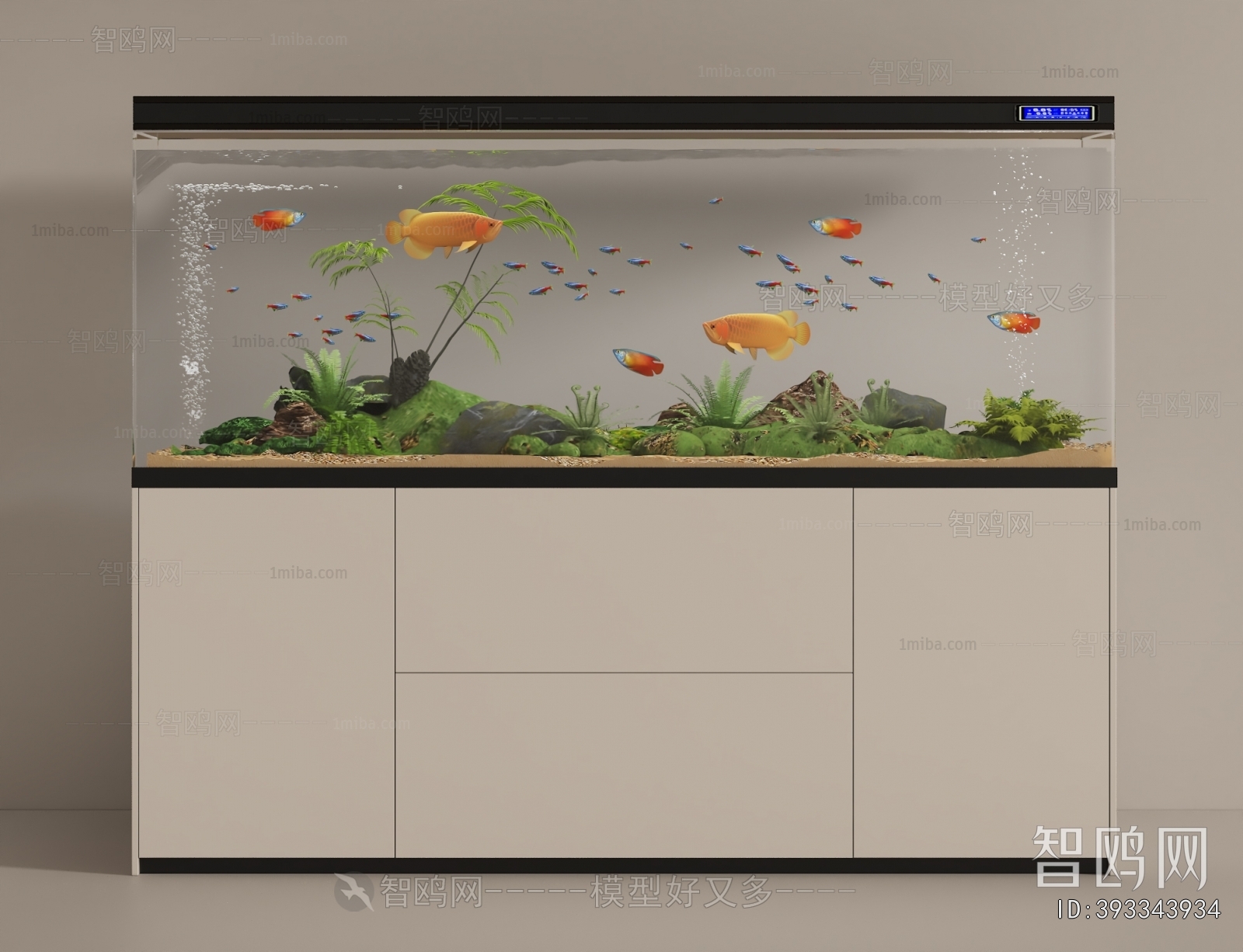 Modern Fish Tank