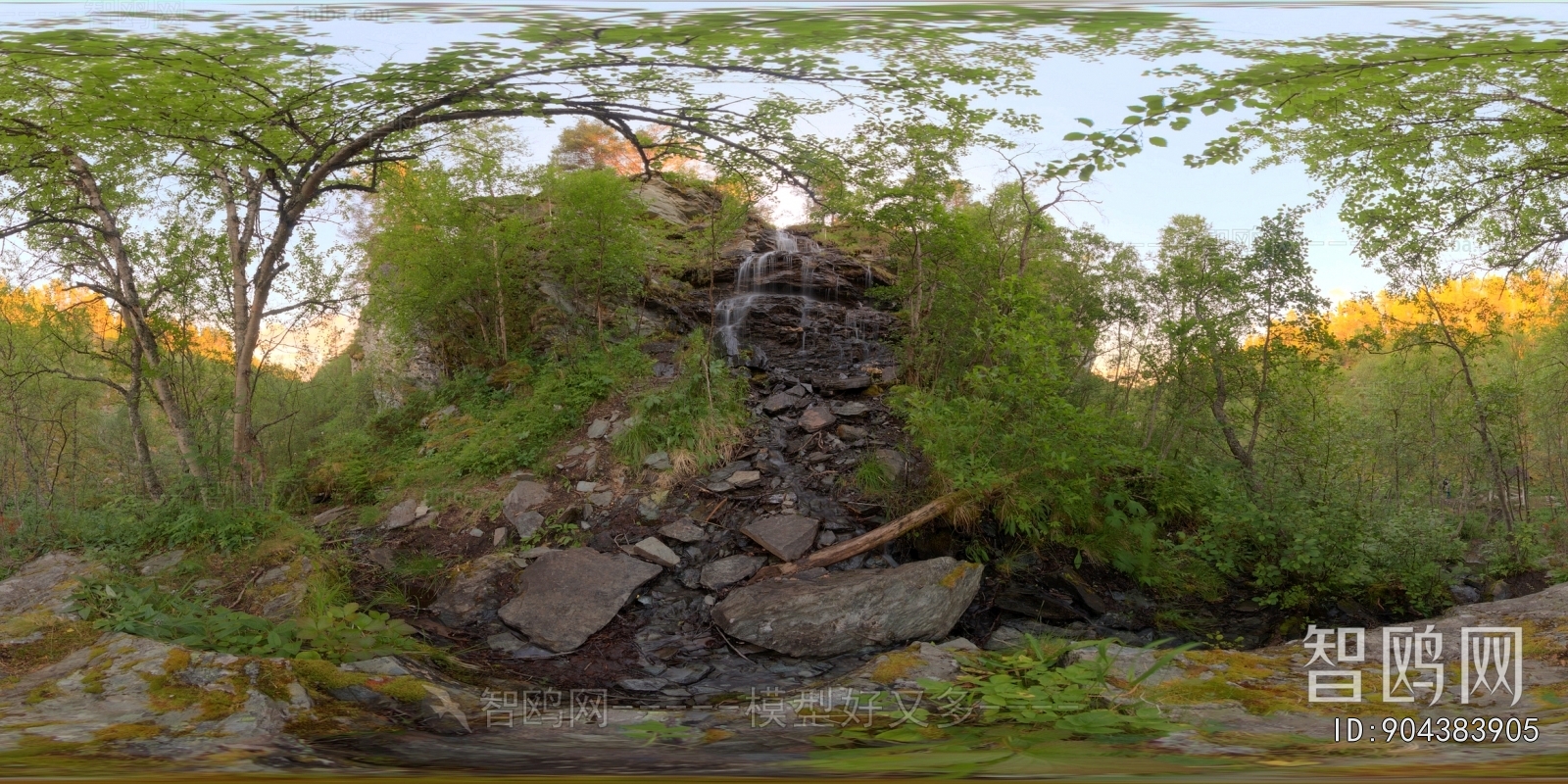 The Environment