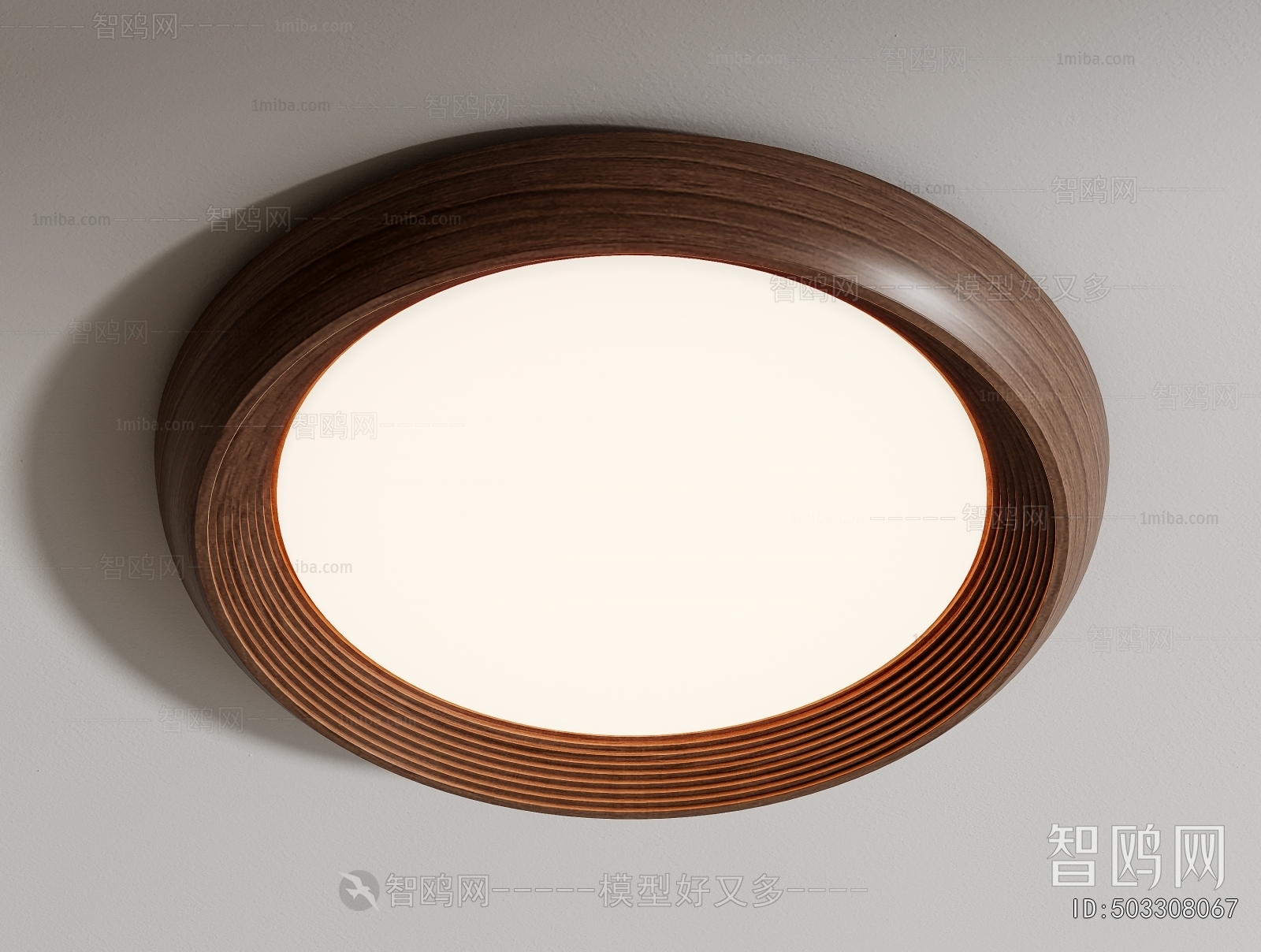 Modern Ceiling Ceiling Lamp