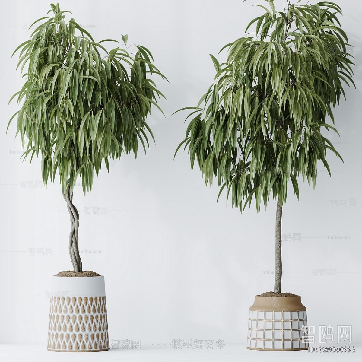 Modern Ground Green Plant Potted Plants