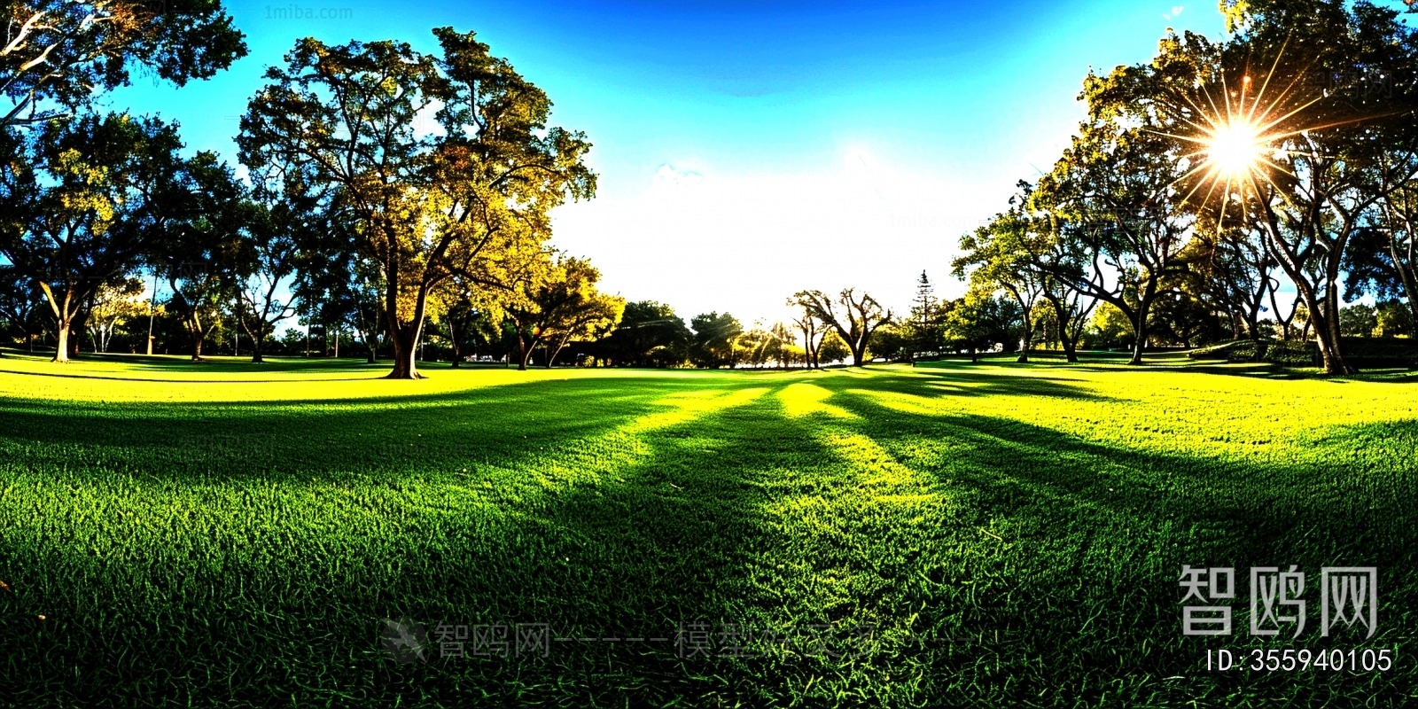 The Environment