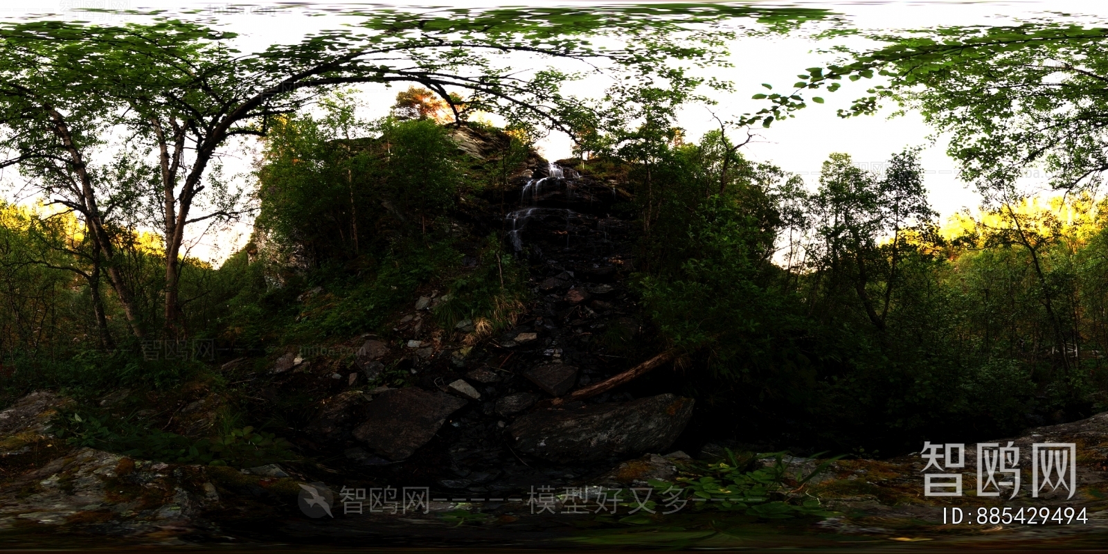 The Environment