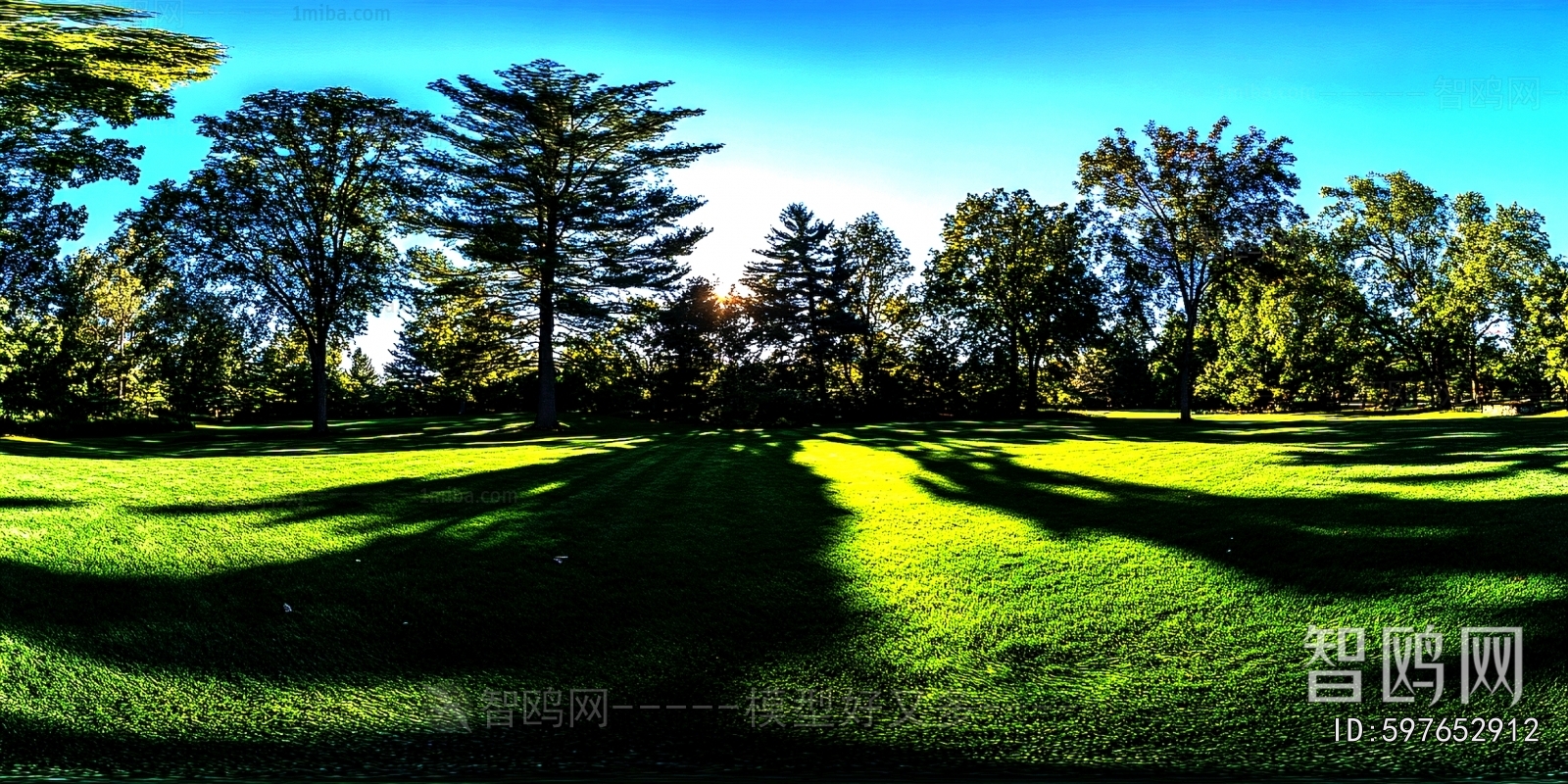 The Environment