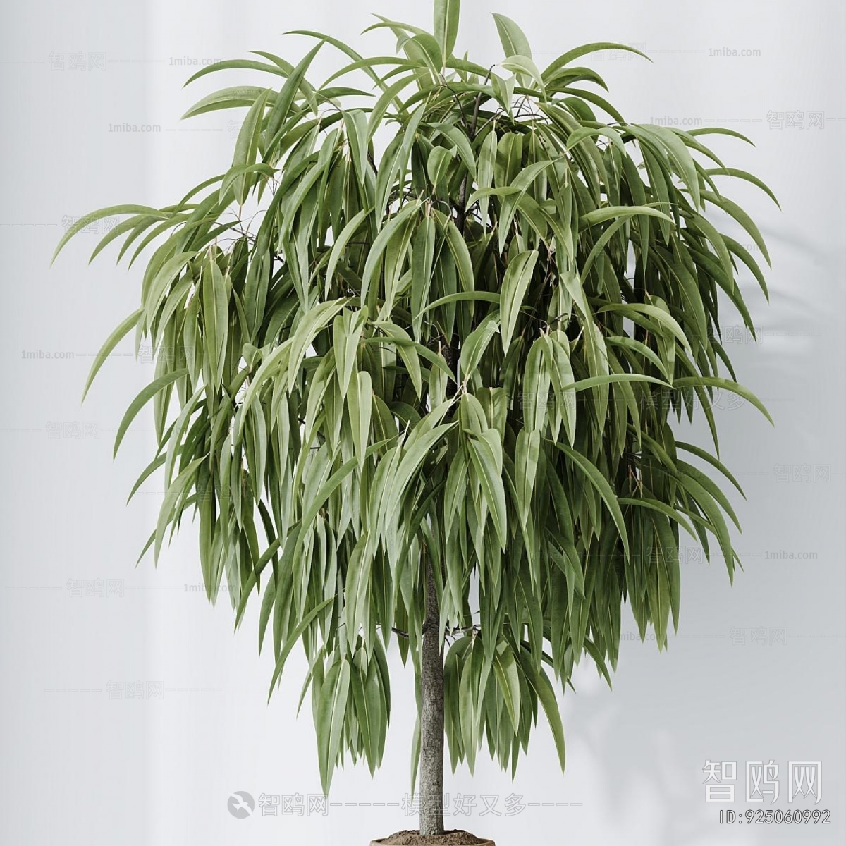 Modern Ground Green Plant Potted Plants