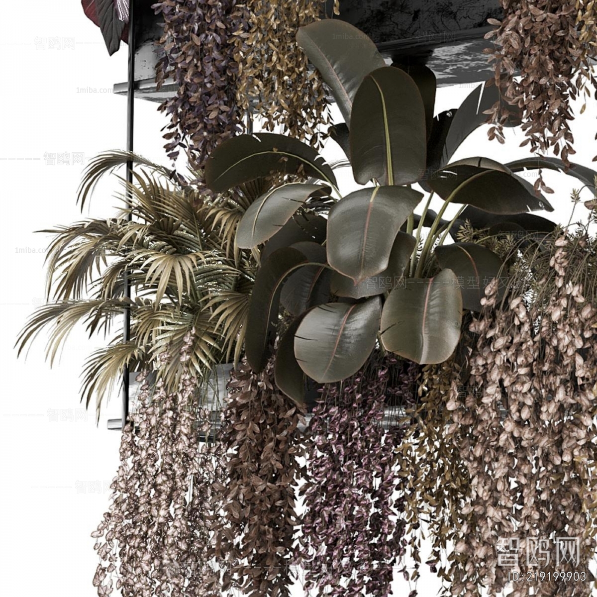 Modern Chlorophytum Comosum