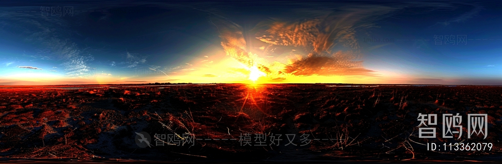 The Environment