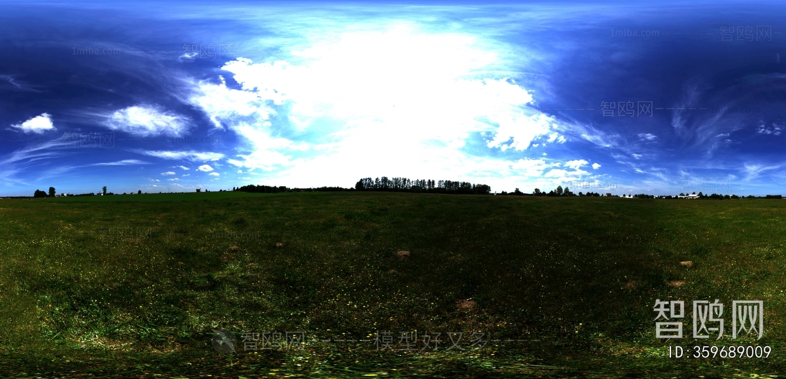 The Environment