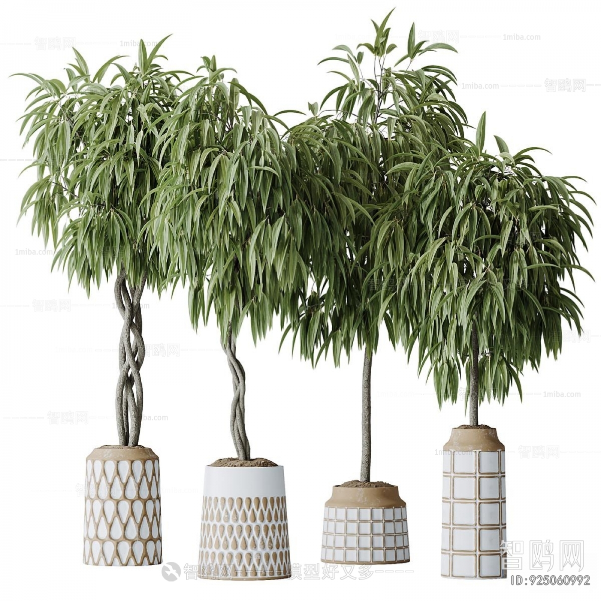 Modern Ground Green Plant Potted Plants