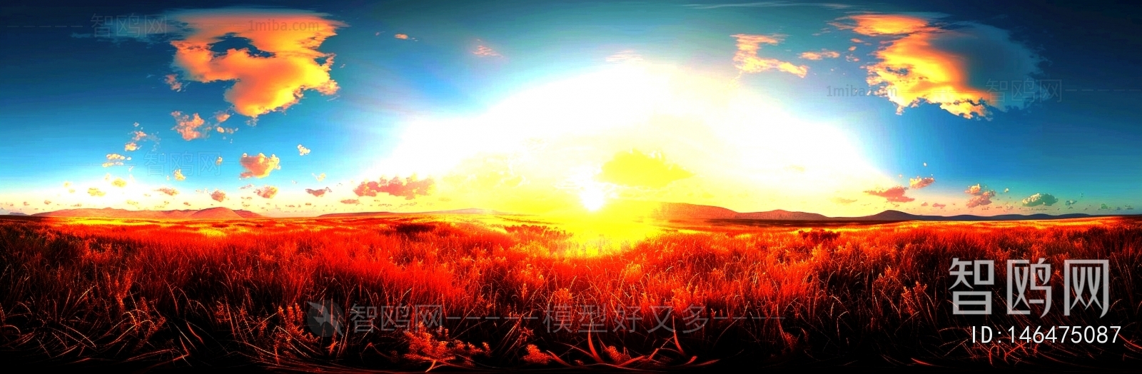 The Environment