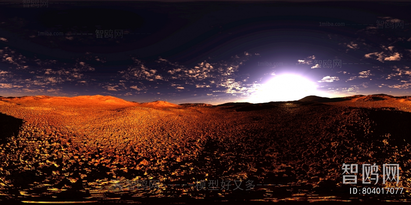 The Environment