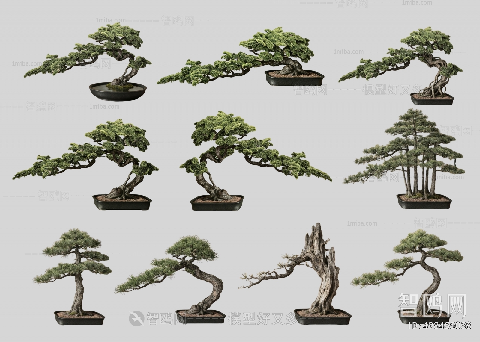 New Chinese Style Bonsai