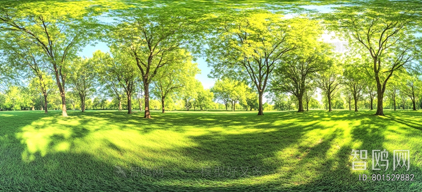 The Environment