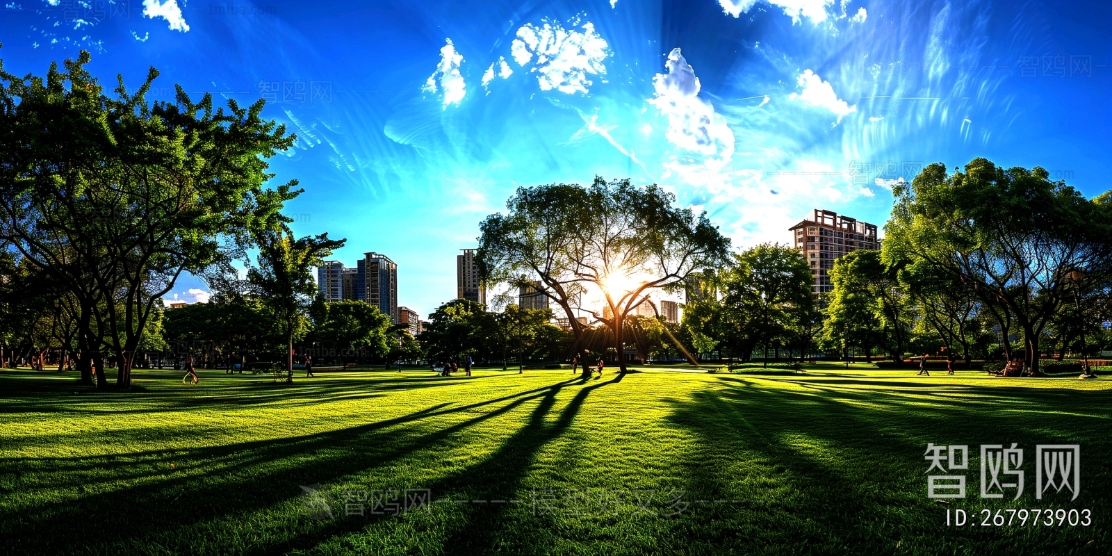 The Environment