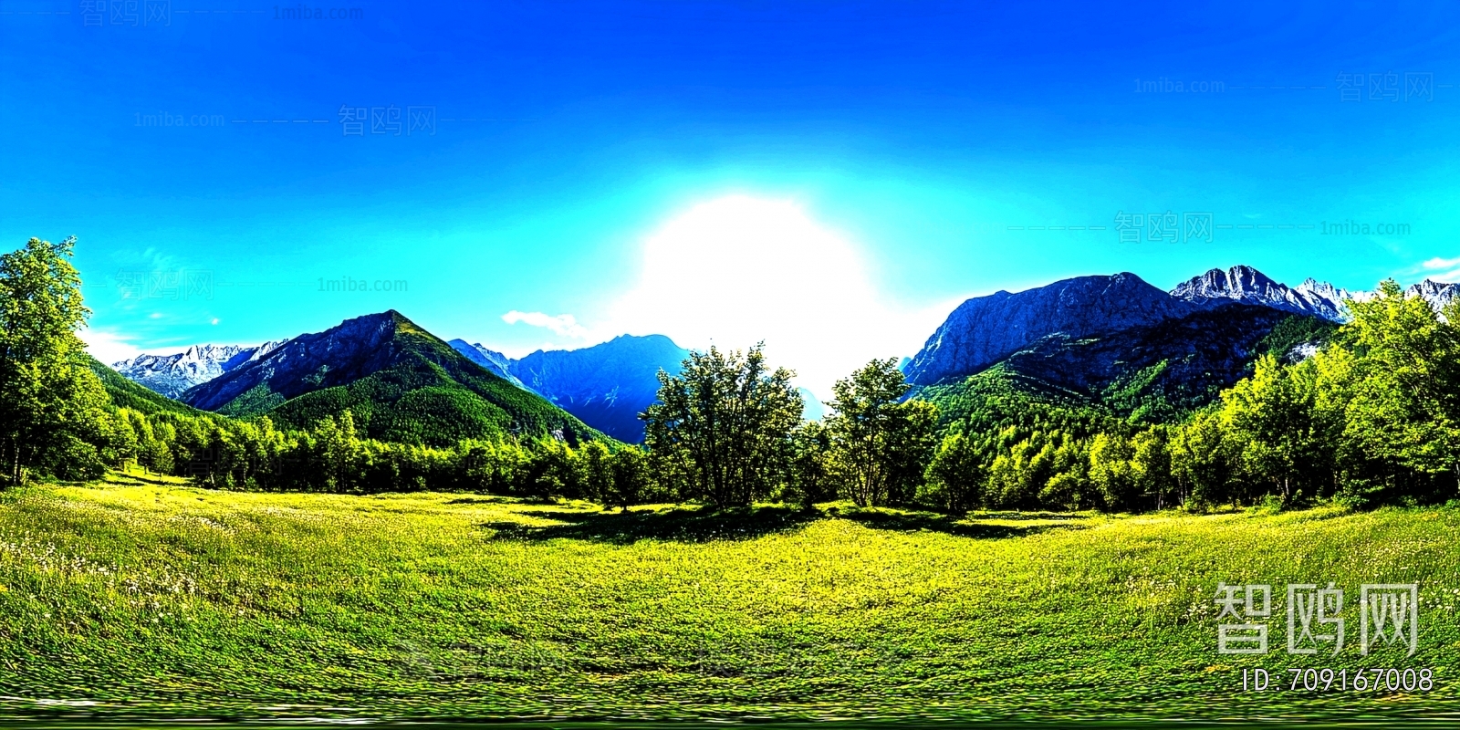The Environment
