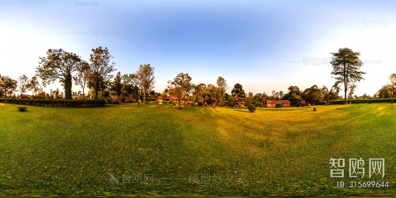 The Environment