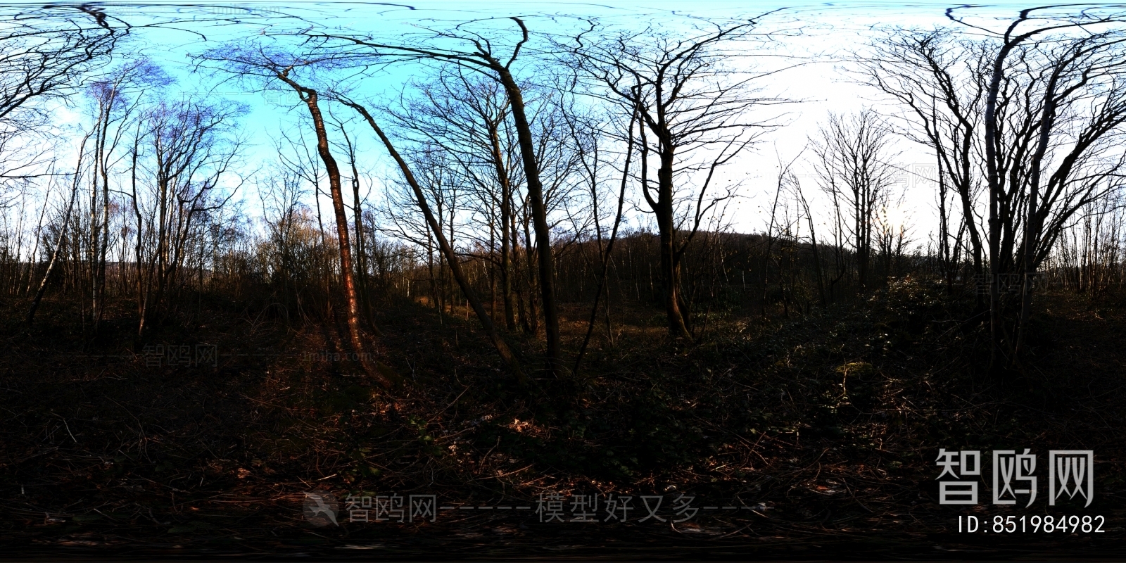 The Environment