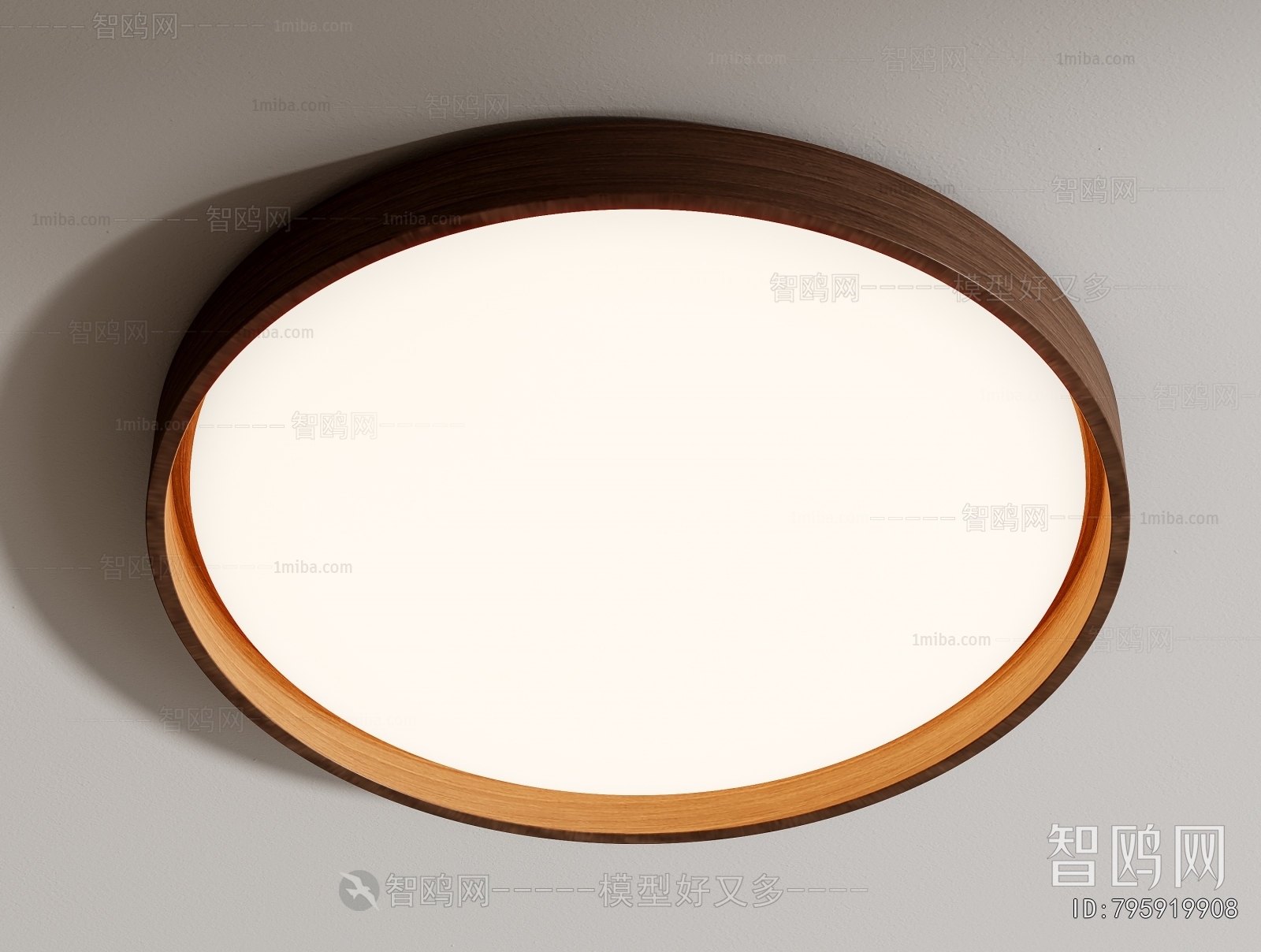 Modern Ceiling Ceiling Lamp