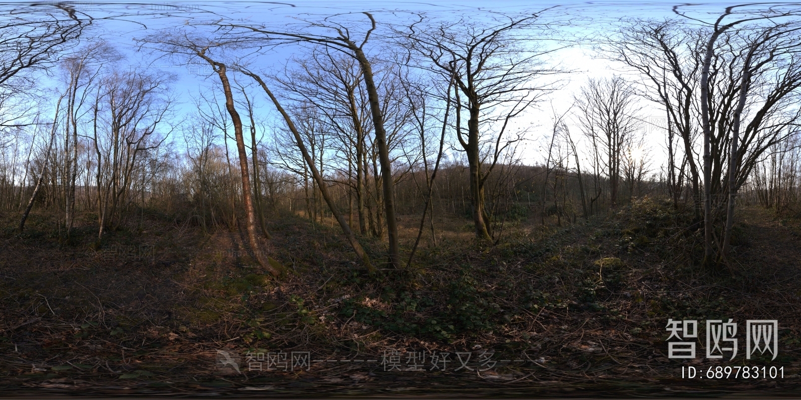 The Environment