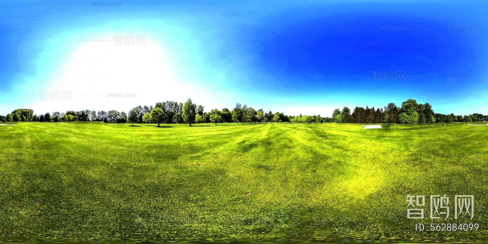 The Environment
