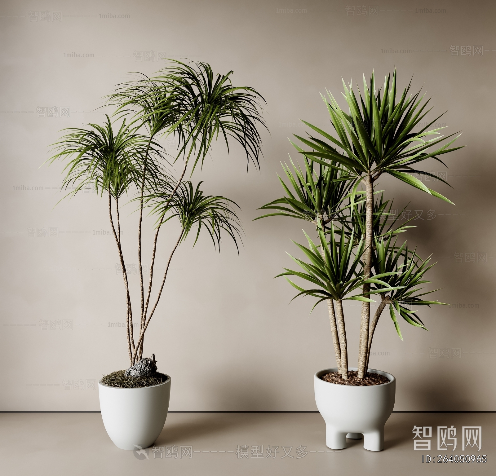 Modern Ground Green Plant Potted Plants