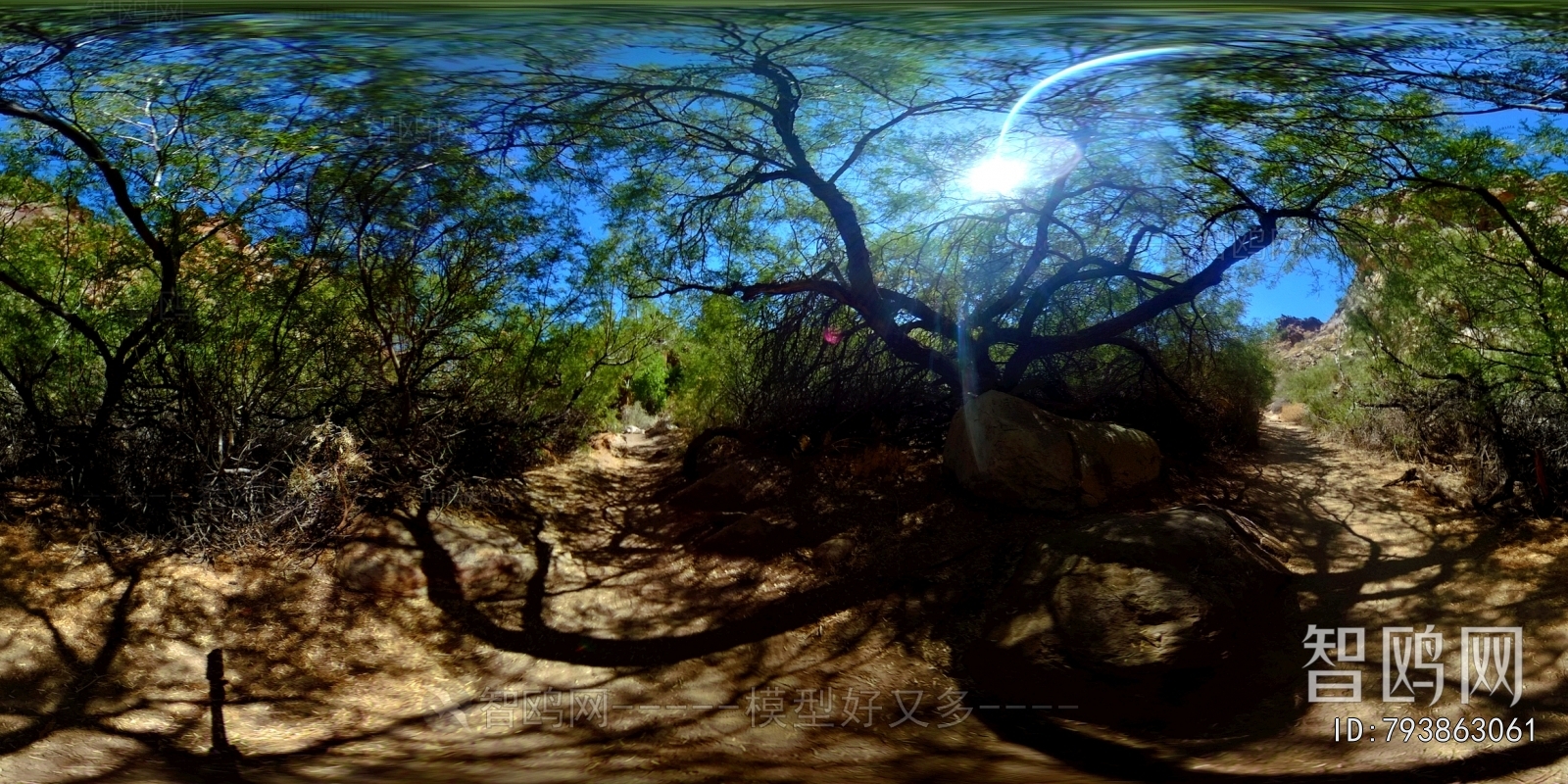 The Environment