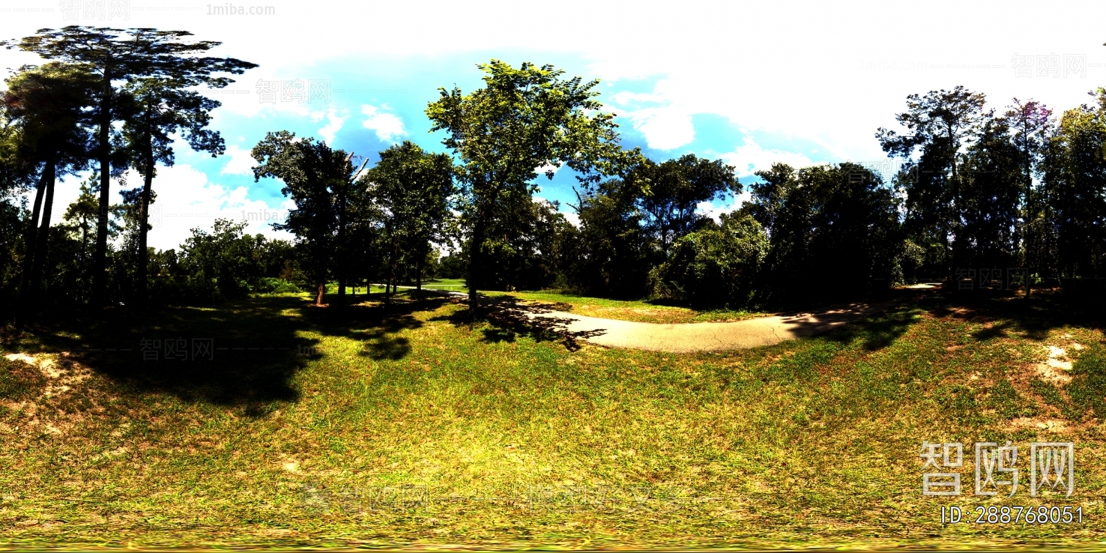 The Environment