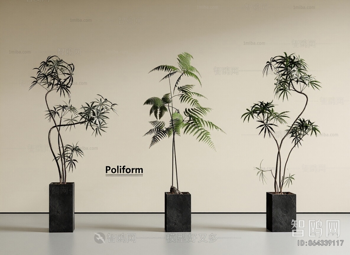 Modern Ground Green Plant Potted Plants