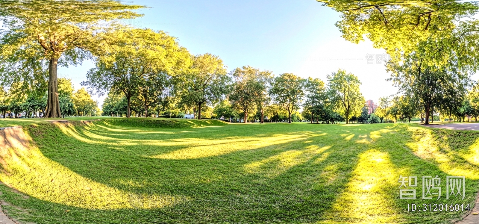 The Environment